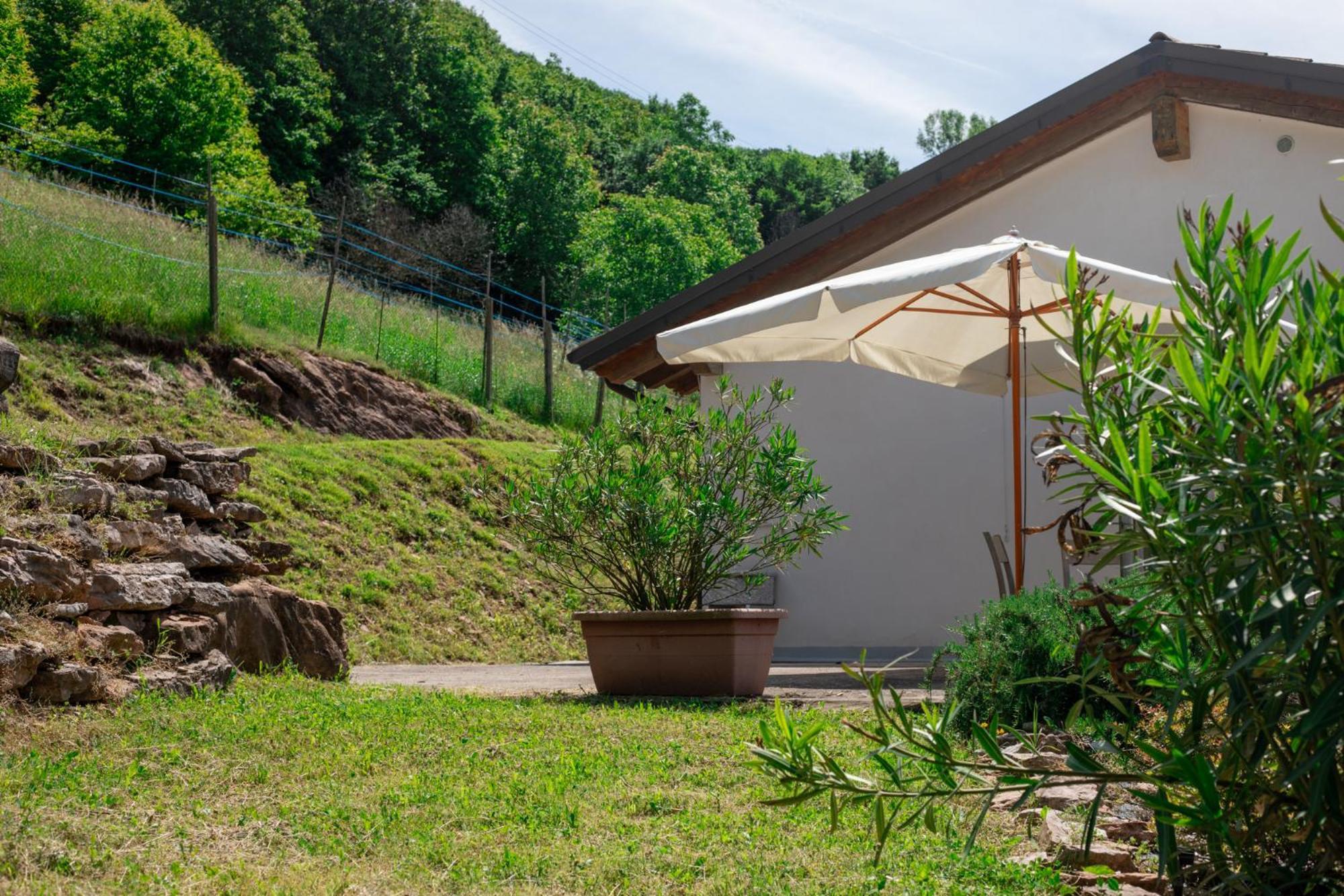 Agriturismo Riva Dei Coz Sequsino Extérieur photo